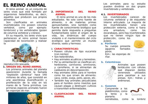 Reino Animal Triptico El Reino Animal El Reino Animal Es Un Conjunto