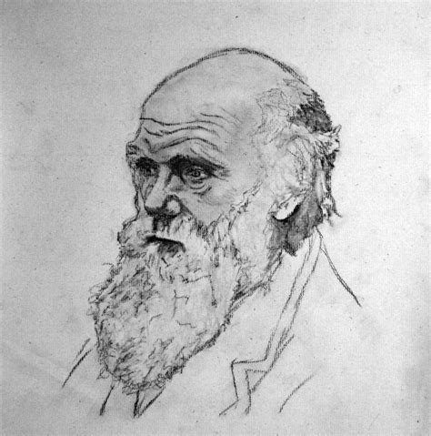 Charles Darwin Sketch Conte Crayon By Dustinadamsmith On Deviantart