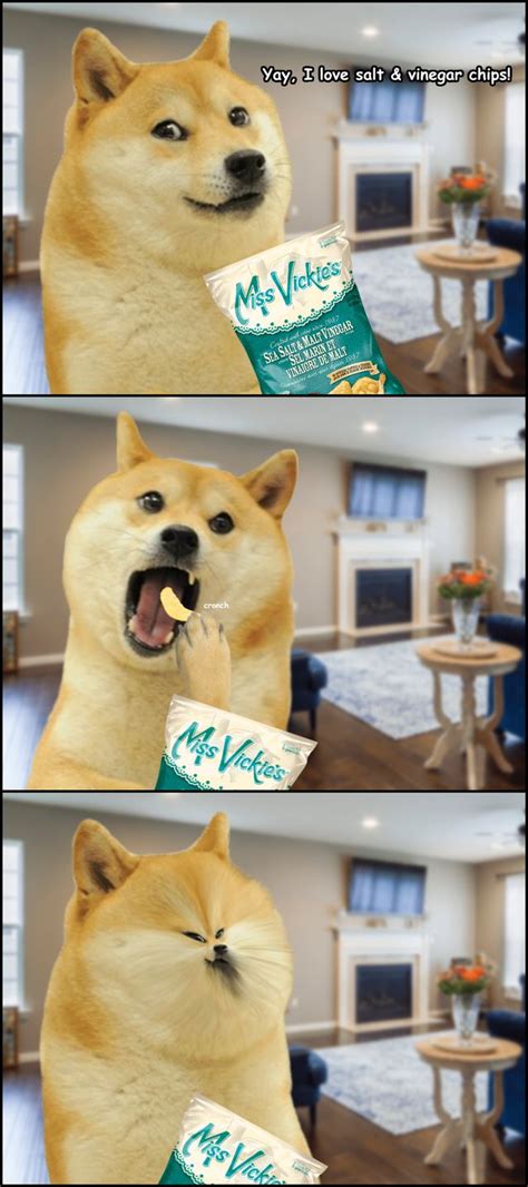 It might be a funny scene, movie quote, animation, meme or a mashup of multiple. soure - dogelore | Meme characters, Funny pictures, Doge meme