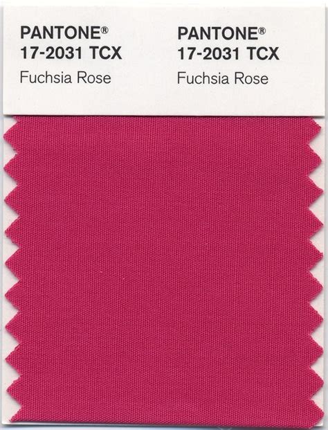 Fuchsia Rose 2001 Pantone Color Of The Year Fuchsia