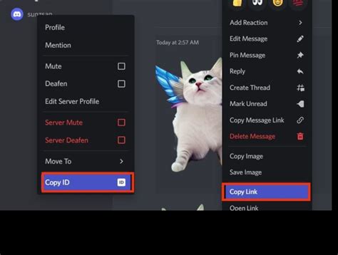 How To Work With Discord Reactive Images As A Beginner 2023 Design