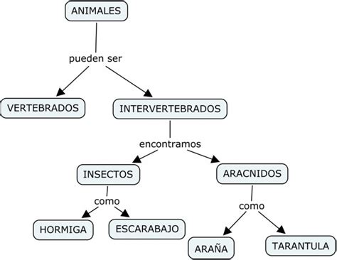 Mapa Conceptual Con Características De Los Animales Para Descargar