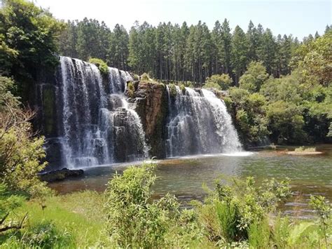 Forest Falls Nature Walk Sabie 2020 All You Need To Know Before You