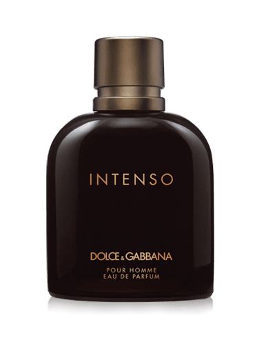 Best Dolce Gabbana Colognes 9 Picks For Successful Men Scent Chasers
