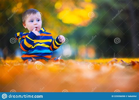 Cute Little Baby Boy Play In Autumn Park With Fallen Leaves Stock Photo