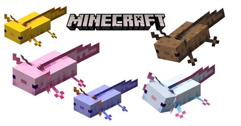 5 Rarest Axolotl Minecraft And How To Get Them