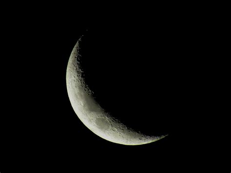 Captured The Crescent Moon In My Backyard With Only A Cheap Powershot