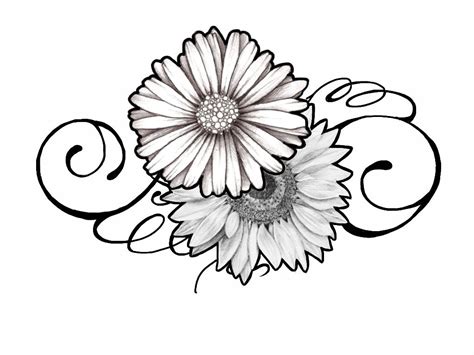 They grow wild in meadows and fields and give a grassy field a cheerful feel. Black And White Sunflower Drawing | Free download on ...