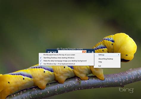 Bing Desktop Automatically Sets Daily Homepage Image From