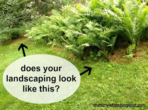 And be sure to anchor the edging securely with stakes to keep it from popping out of the ground. How to install landscape bed black edging - Pretty Handy Girl