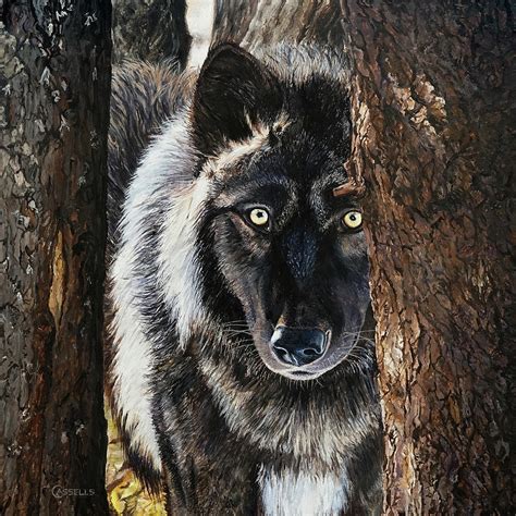 I See You Timber Wolf Painting By Laara Cassells Fine Art America