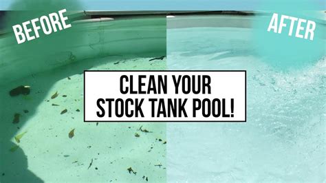 Keep Your Stock Tank Pool Water Crystal Clear Youtube