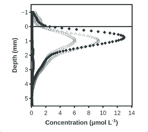 Hydrogen Accumulation After Darkening When Sulfate Reduction Was