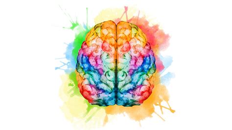 The Arts And The Brain
