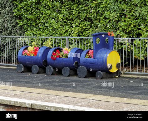 Ornamental Train Plant Flower Pot Container Hi Res Stock Photography