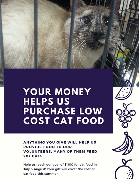 St Louis Feral Cat Outreach Home Facebook