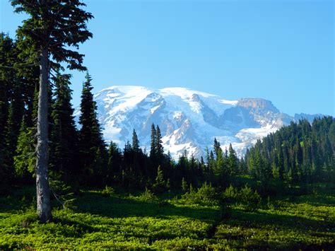 Mount Rainier National Park Mountains And Waterfalls Photo 35745525