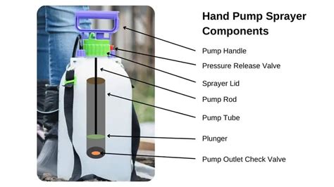 Pump Sprayer Wont Build Pressure Heres What To Do Sprayer Guru