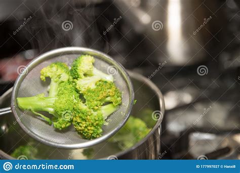 Cut Broccoli In Steel Strainer Stock Image Image Of Botany Isolated