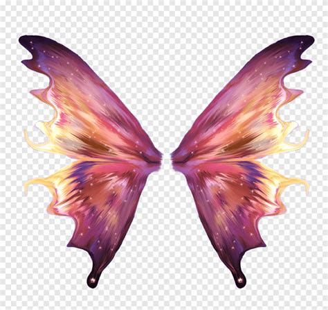 Purple And Multicolored Butterfly Wings Illustration Fairy Desktop