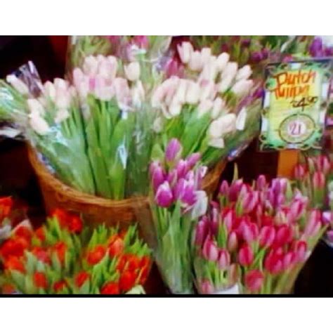 We did not find results for: Trader Joes flower shopping | Planting flowers, Flower ...