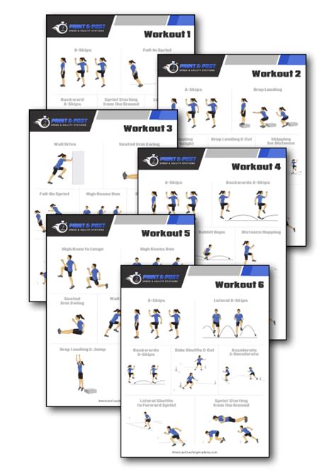 Print And Post Speed And Agility Workouts — American Coaching Academy
