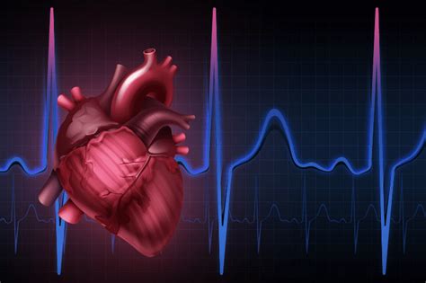 Cardiac Arrhythmias Guide Types Symptoms And Diagnosis Vitalistics