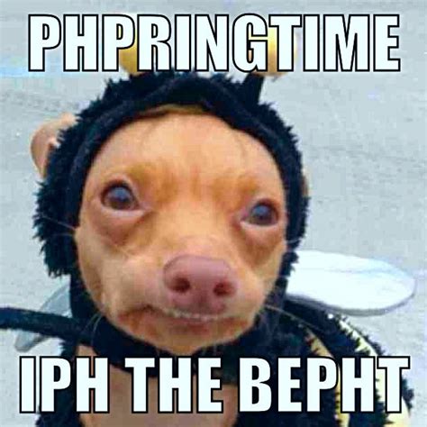 89 Best Images About Lisp Meme Dog On Pinterest 4th Birthday Pho And