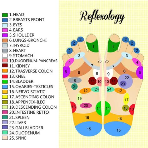 Reflexology For Women Simple Techniques To Try At Home Reflexology
