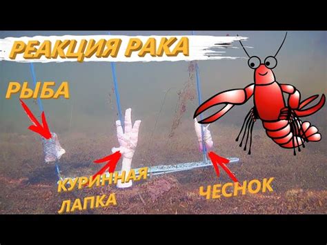 Где Ловить Раков Карта