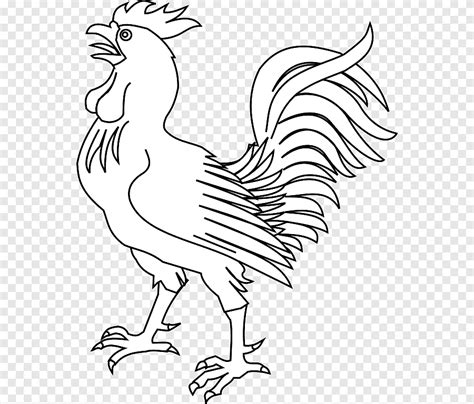 ไก่วาดรูปไก่ไก่ รูปสัตว์ สัตว์ Png Pngegg