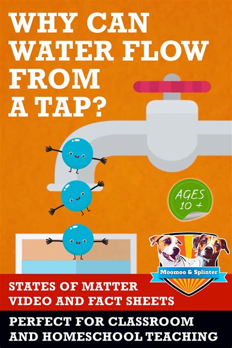 In this video students are introduced to the basic definitions of