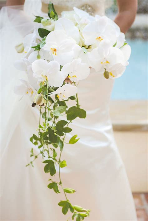 White Orchid Cascade Bridal Bouquet