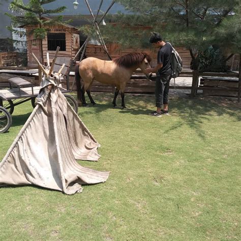 Great stay to experience local life. Johnsto Jogja Horse and Resto, Tempat Wisata Edukatif yang ...