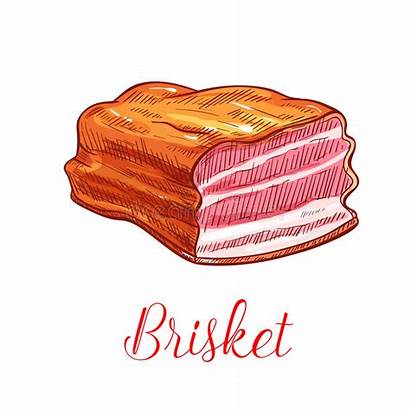 Brisket Meat Vector Icon Isolated Sketch Beef