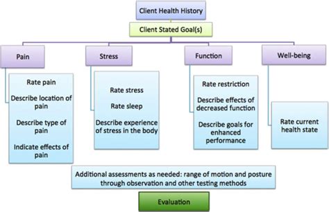 Massage Therapy Assessment And Evaluation Download Scientific Diagram