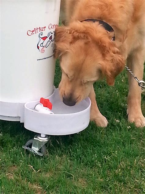 Critter Concepts Large Dog Water Dispenser 65 Gallons By Automatic Dog