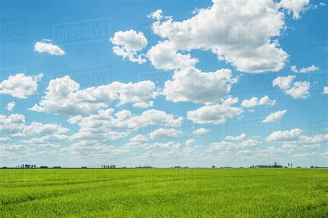 Lush Green Grass Field With Blue Sky And Cloud Uruguay Stock Photo