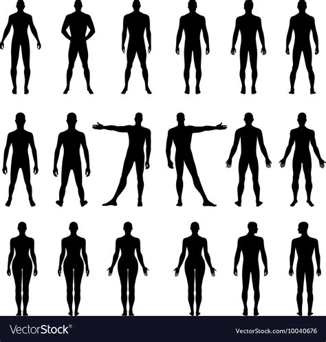 Human Silhouette Outline