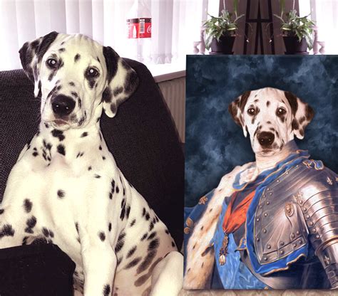 Choose your royal outfit for future pet portraits with his favorite toys. Buy a Custom Dauphin of France Personalised Pet Art Portrait