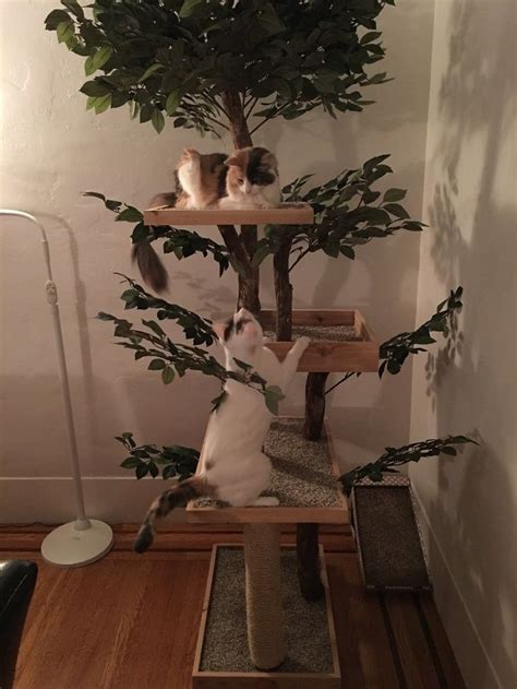 Indoor Cat Towers Made From Real Trees Are Absolutely Stunning Catlov