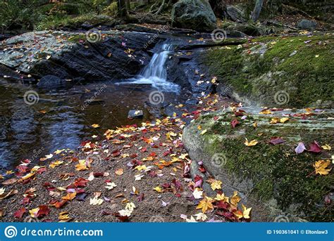 Autumn Landscape Rocks Covered With Moss Fallen Leaves Mountain