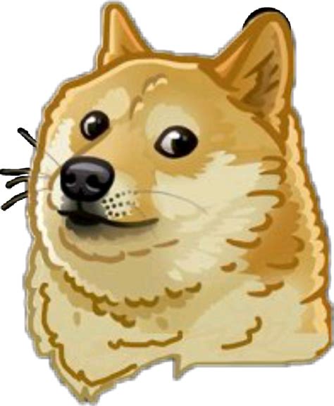Download Doge Meme Dog Doggo Funny Sticker Momo Png Mlg Pets Doge