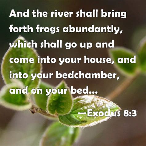 Exodus 83 And The River Shall Bring Forth Frogs Abundantly Which Shall Go Up And Come Into