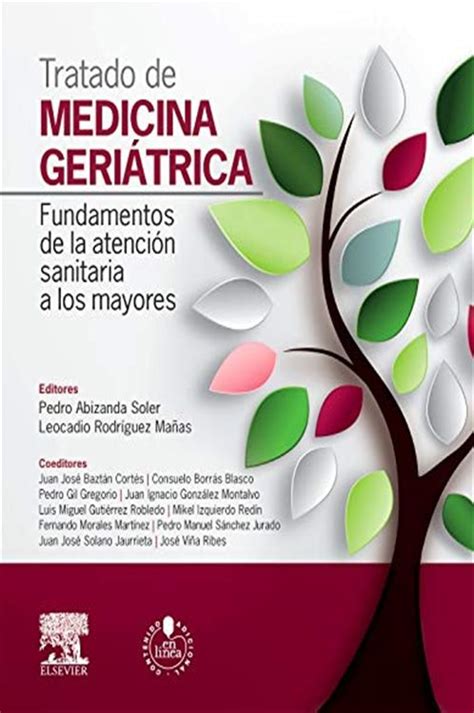 Tratado De Medicina Geriátrica By Pedro Abizanda Soler Ebook