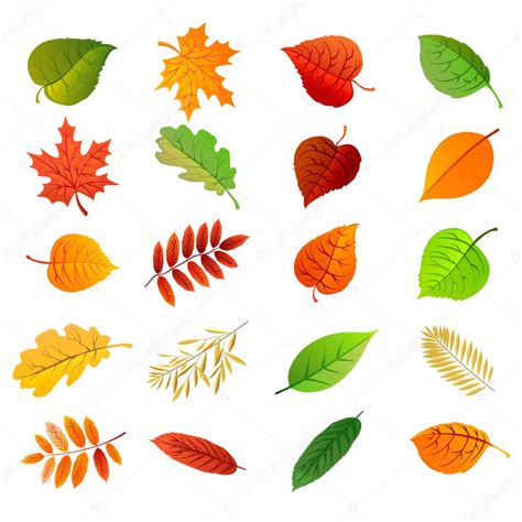 Autumn Leaves Set Nature Symbol Vector Collection Isolated On White
