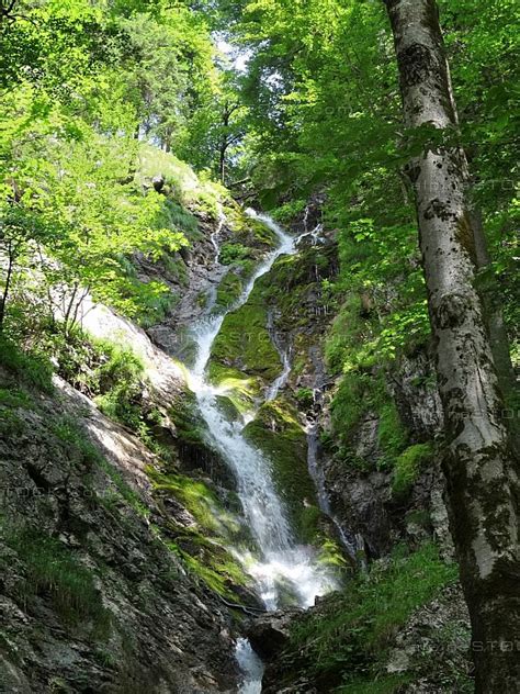 Der nationalpark berchtesgaden hat tolle wanderwege mit atemberaubenden aussichten auf die perlen der natur wie den watzmann und den königssee. Wasserfall im Wald, Nationalpark Berchtesgaden ...
