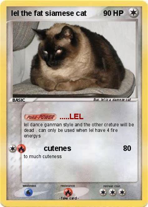 Pokémon Lel The Fat Siamese Cat Lel My Pokemon Card