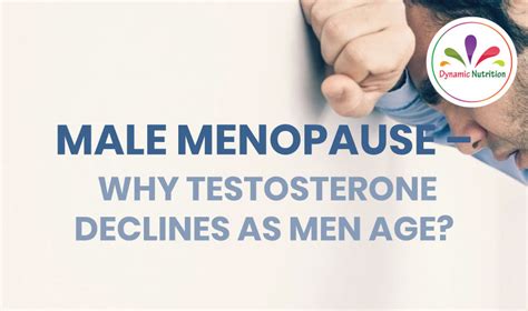 Male Menopause Why Testosterone Declines As Men Age Dynamic Nutrition
