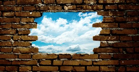 Breaking through to new highs tipranks team. The brick walls are there for a reason…. | ONE TUSK